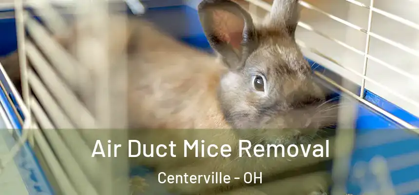 Air Duct Mice Removal Centerville - OH