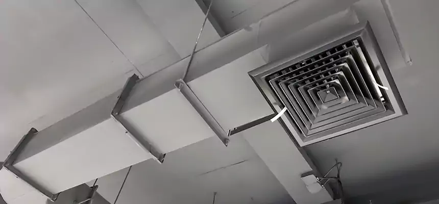 Our Pest Removal From Ducts Services in Centerville, OH