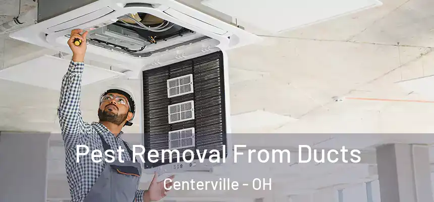  Pest Removal From Ducts Centerville - OH