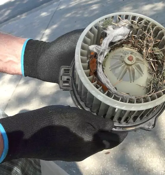 About Air Duct Rat Removal in Centerville, OH