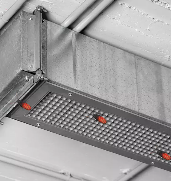Affordable Insect Removal from Air Ducts in Centerville, OH