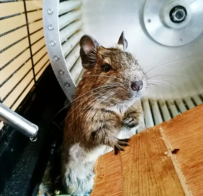 Why Homeowners & Businesses Trust Us Centerville, OH?